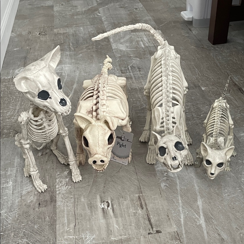 Set of Skeleton Animal Figurines